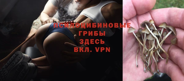 дмт Аркадак