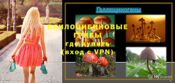 дживик Арсеньев