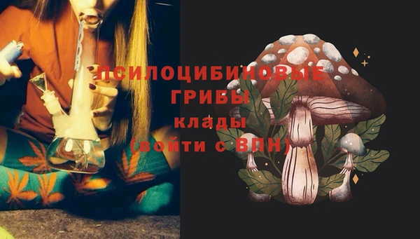 стафф Армянск