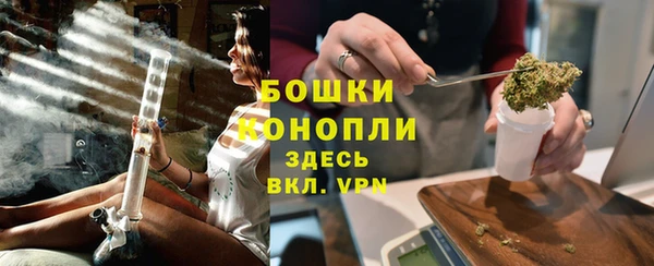 дживик Арсеньев