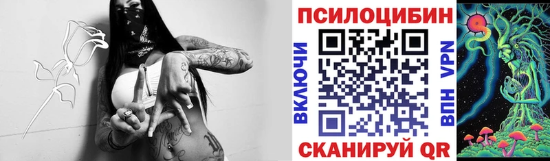 где продают наркотики  это состав  Галлюциногенные грибы Psilocybine cubensis  Урень 